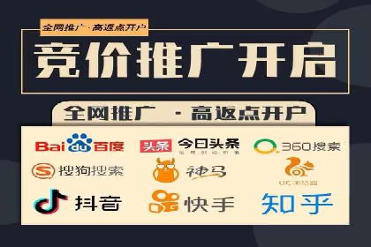 百度竞价包年服务：某行业领导品牌的成功故事